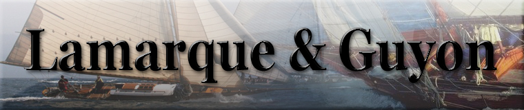 Logo Lamarque & Guyon Méditerranée